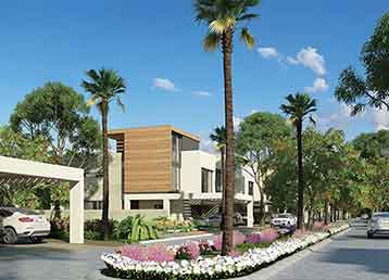 Faya от Bloom Holding